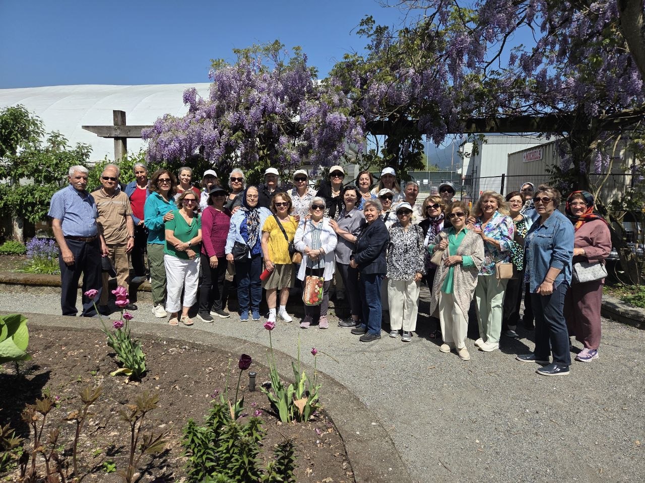 TCICS Senior Club group walking program